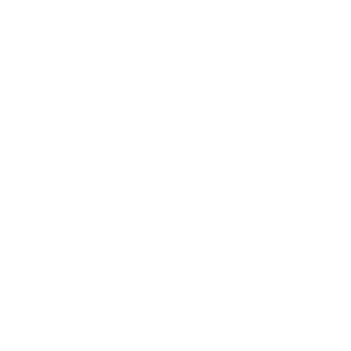 shingle roof cleaning
