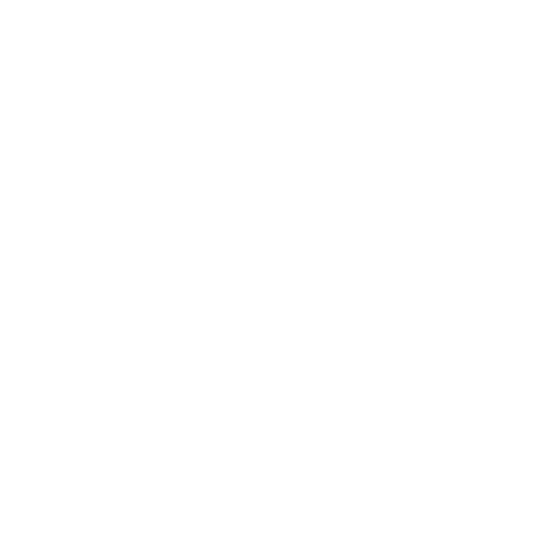 tile roof cleaning