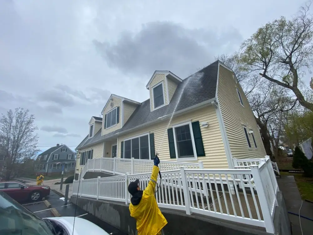 Roof Cleaning treatment
